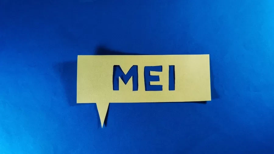 Envie sua DASN: Veja o Prazo para Preencher a Declaração do MEI em 2025